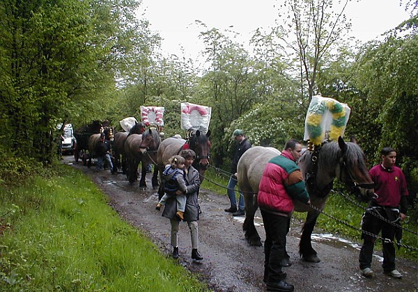 Mei den 2002 kappen