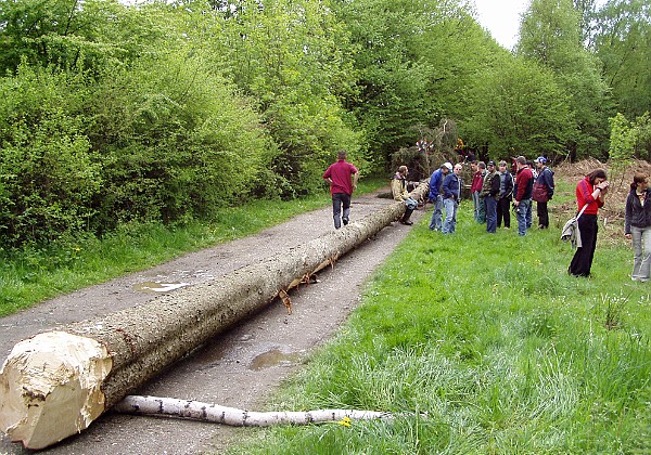 Mei den 2004 kappen